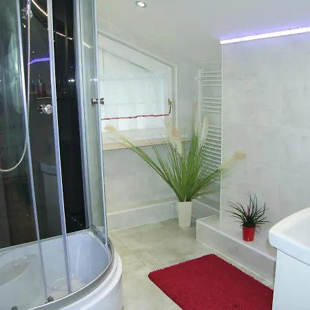 Kaliny Apartamenty Wanny Z Hydromasazem Chorzow Exterior photo