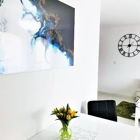 Kaliny Apartamenty Wanny Z Hydromasazem Chorzow Exterior photo