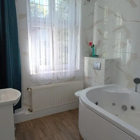 Kaliny Apartamenty Wanny Z Hydromasazem Chorzow Exterior photo